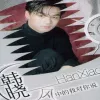 大头皮鞋 歌词 - 韩晓