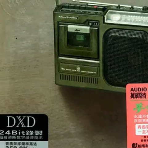 痛哭的人 歌词 - 伍佰