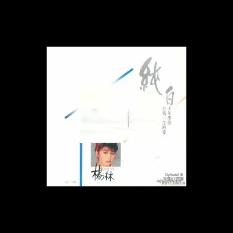 感情用事 歌词 - 杨林