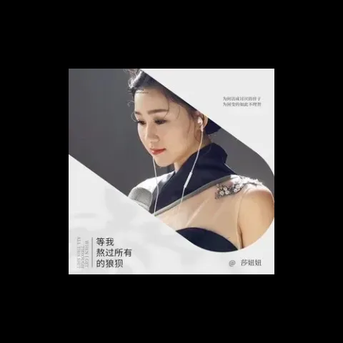 等我熬过所有的狼狈 歌词 - 莎妞妞