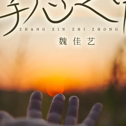 掌心之中