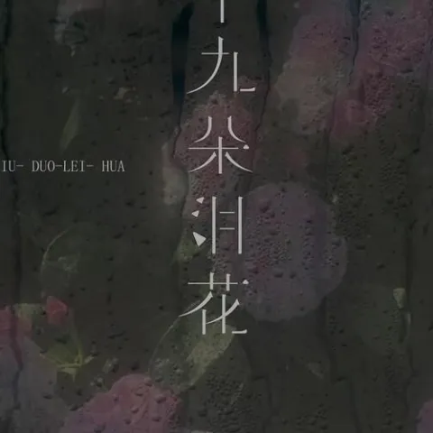 九十九朵泪花