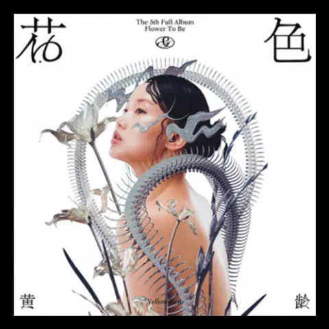 花&色