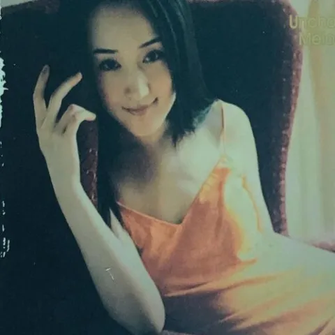 不了情