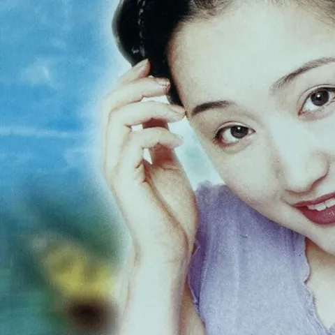 杨钰莹-珍藏版