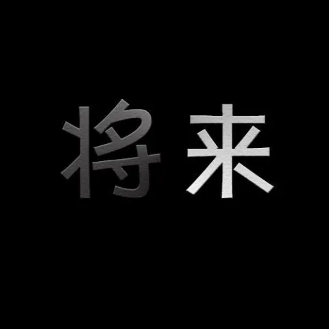 将来