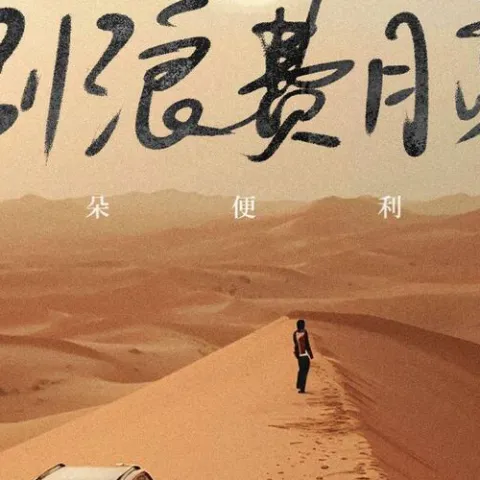 别浪费月亮