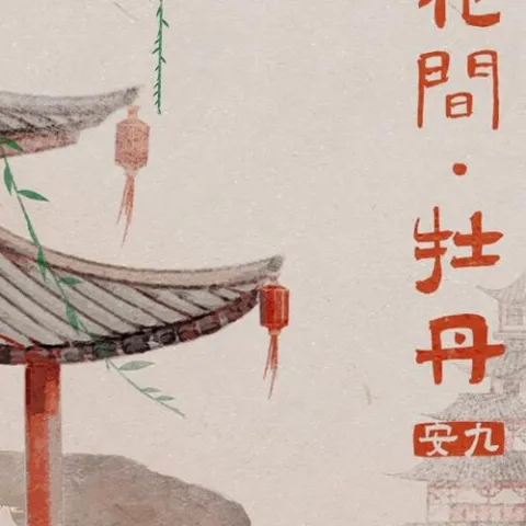 入花间·牡丹