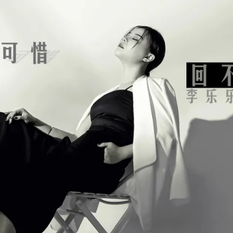 可惜回不去了