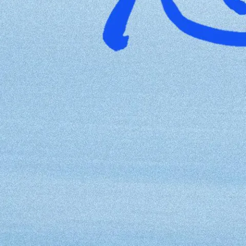 失态