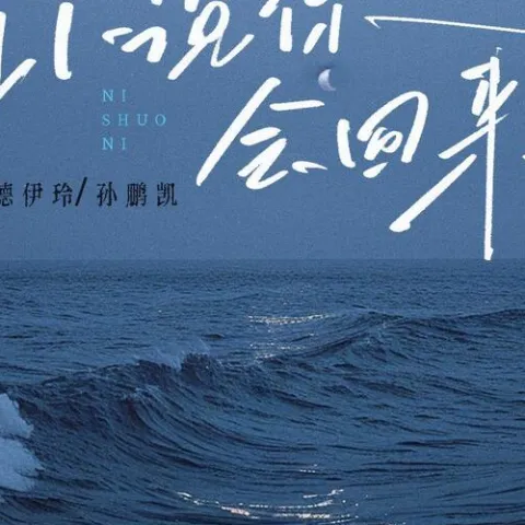 你说你会回来