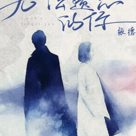 无法遗忘的你