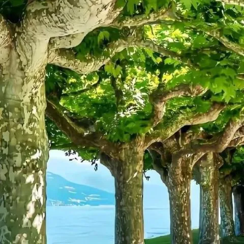 9670
