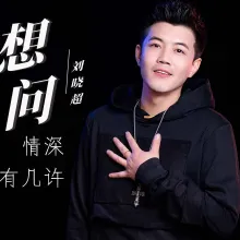  想问情深有几许 歌词 - 刘晓超