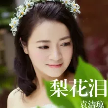 梨花泪 歌词 - 袁洁琼